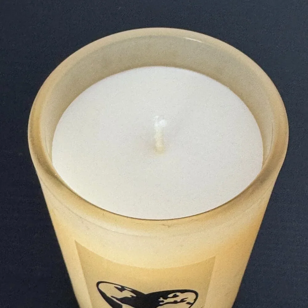 Victoria’s Secret PINK Honey Single Wick Scented Candle + Wildflower Seeds Cover